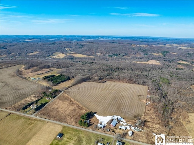 9725 Dutch Hill Rd, Ashford, NY 14171 - photo 1