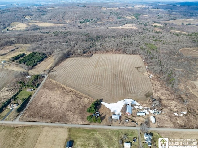 9725 Dutch Hill Rd, Ashford, NY 14171 - photo 4