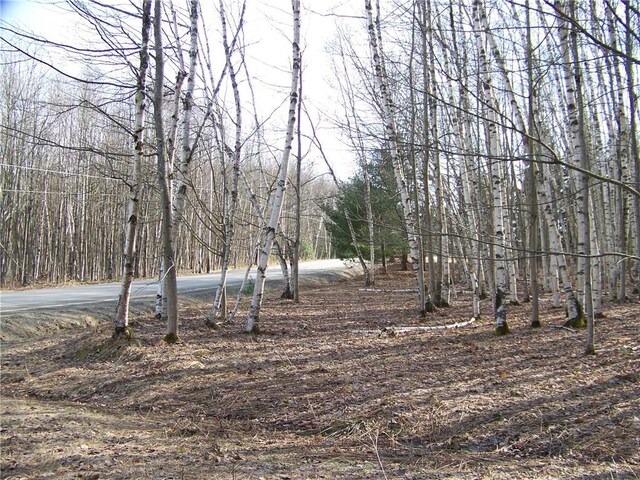 191 W Ext, Laurens, NY 13820 - photo 5