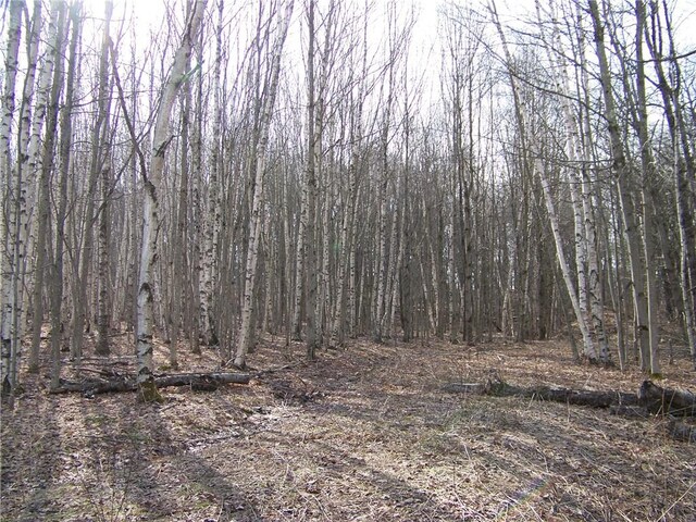191 W Ext, Laurens, NY 13820 - photo 6