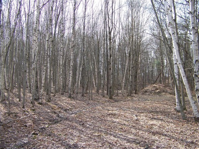 191 W Ext, Laurens, NY 13820 - photo 7