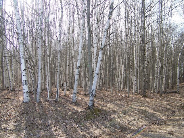 191 W Ext, Laurens, NY 13820 - photo 8