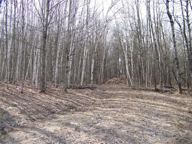 191 W Ext, Laurens, NY 13820 - photo 9