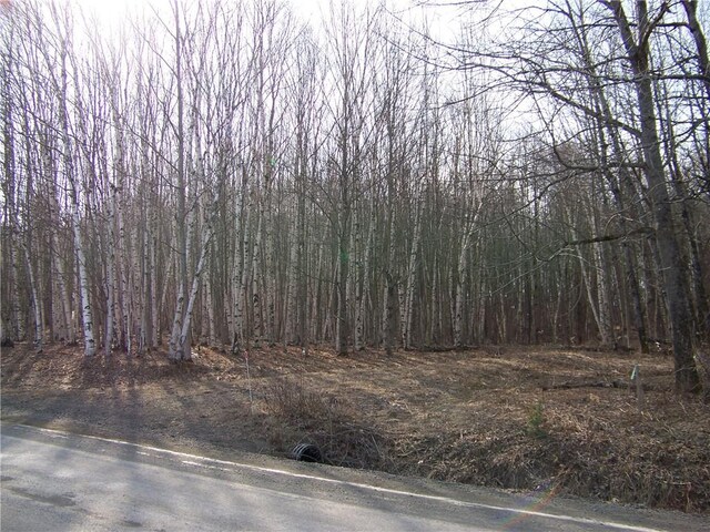 191 W Ext, Laurens, NY 13820 - photo 10