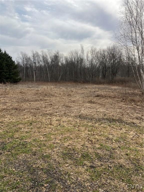 39254 County Route 15, Orleans NY, 13656 land for sale