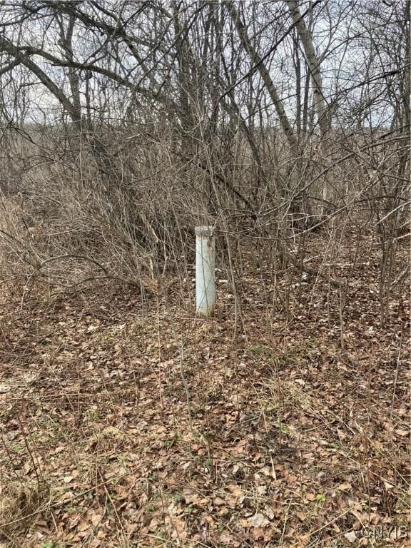 Listing photo 2 for 39254 County Route 15, Orleans NY 13656
