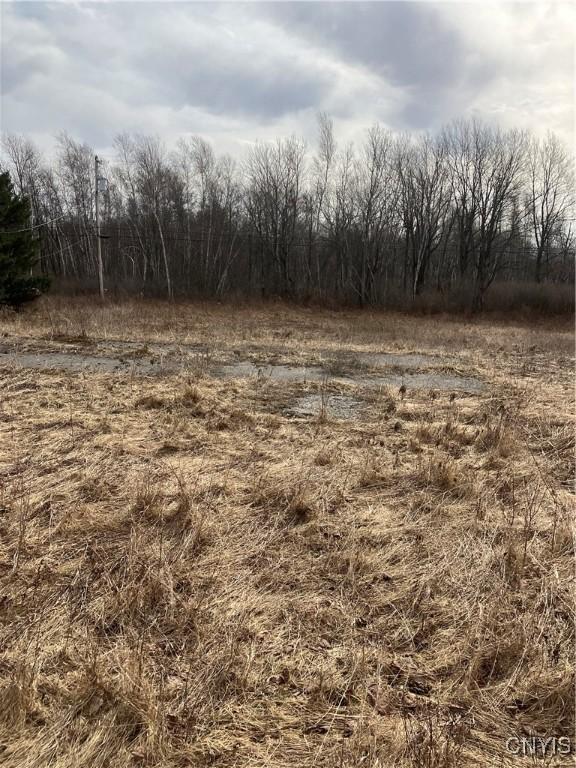 Listing photo 3 for 39254 County Route 15, Orleans NY 13656