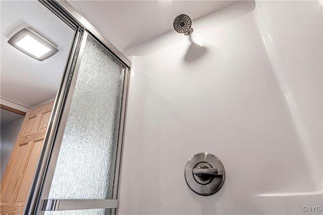 806 Clifford Ave, Vienna, NY 13157 - details featuring a shower with door
