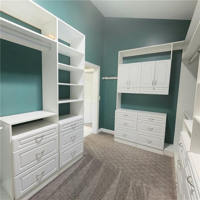 919 W Broad St, Horseheads, NY 14845 - spacious closet with carpet floors