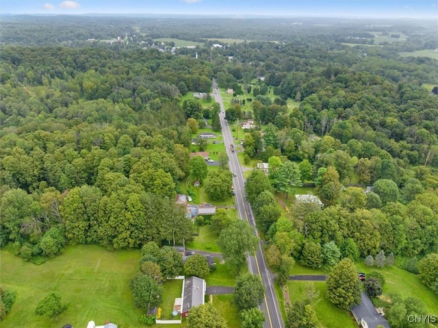 9391 State Route 365th Hwy, Trenton, NY 13354 - photo 6