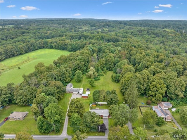 9391 State Route 365th Hwy, Trenton, NY 13354 - photo 8