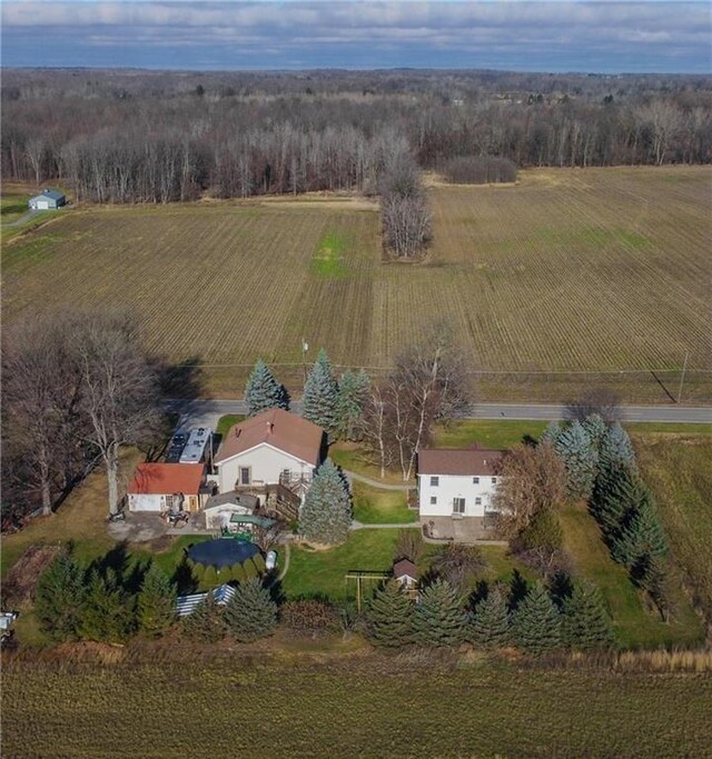 281 Dewey St, Ogden, NY 14428 - photo 37