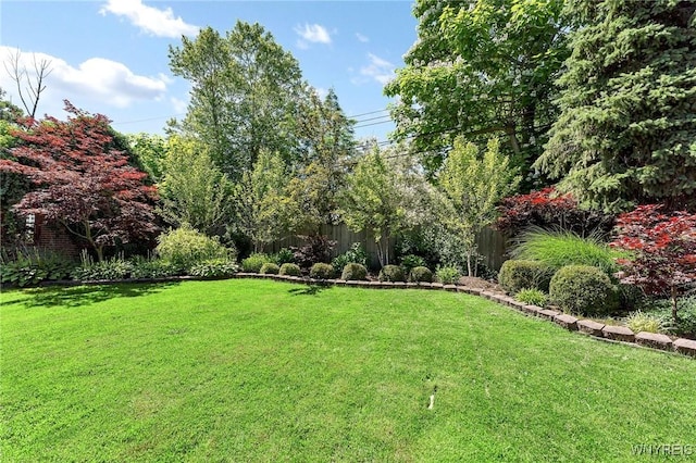 67 Nottingham Ter, Buffalo, NY 14216 - view of grassy yard