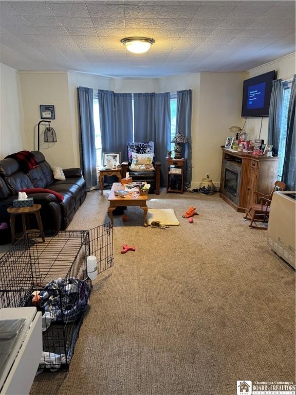 48 Thayer St, Jamestown, NY 14701 - living room with carpet flooring and a fireplace