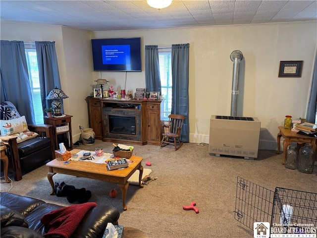 48 Thayer St, Jamestown, NY 14701 - living area featuring heating unit, baseboards, ornamental molding, a glass covered fireplace, and carpet flooring