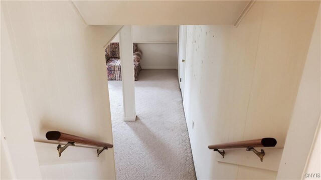 stairway with carpet
