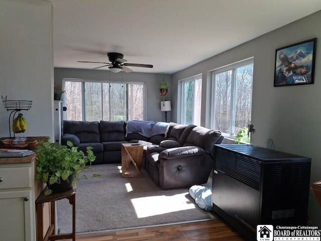 6098 Shady Ln, Lyndon, NY 14737 - living room featuring healthy amount of natural light, ceiling fan, and wood finished floors