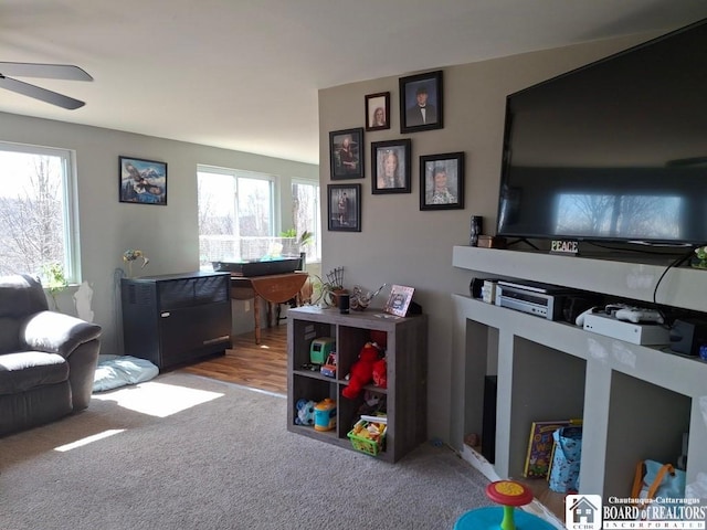 6098 Shady Ln, Lyndon, NY 14737 - living area with ceiling fan and carpet floors