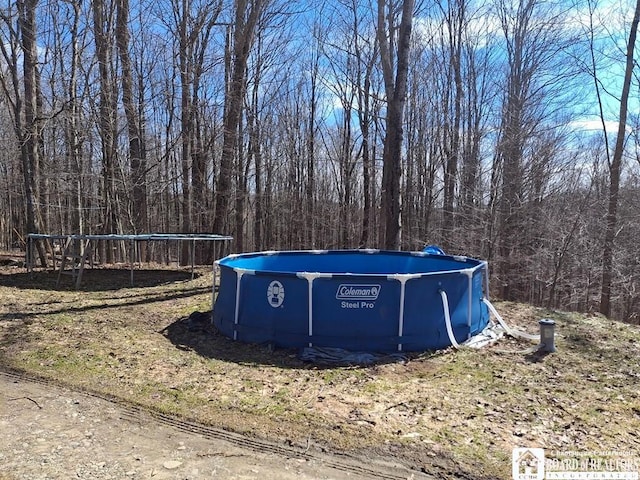 6098 Shady Ln, Lyndon, NY 14737 - view of yard