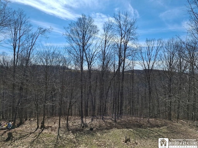 6098 Shady Ln, Lyndon, NY 14737 - mountain view with a forest