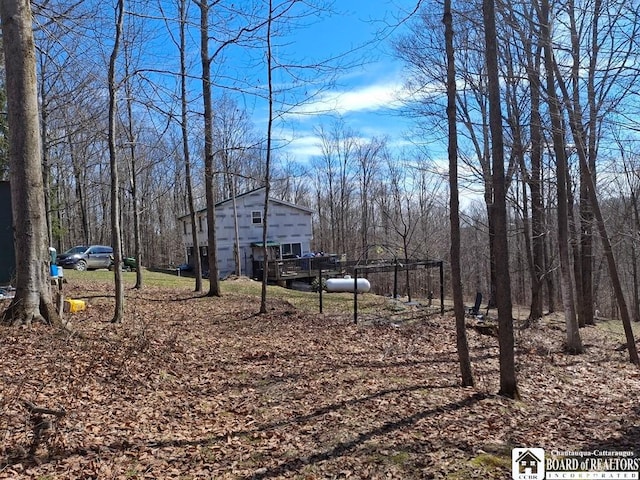 6098 Shady Ln, Lyndon, NY 14737 - view of yard