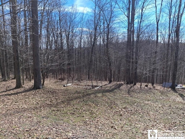 6098 Shady Ln, Lyndon, NY 14737 - view of woods