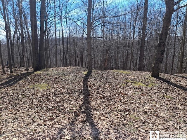 6098 Shady Ln, Lyndon, NY 14737 - view of wooded area