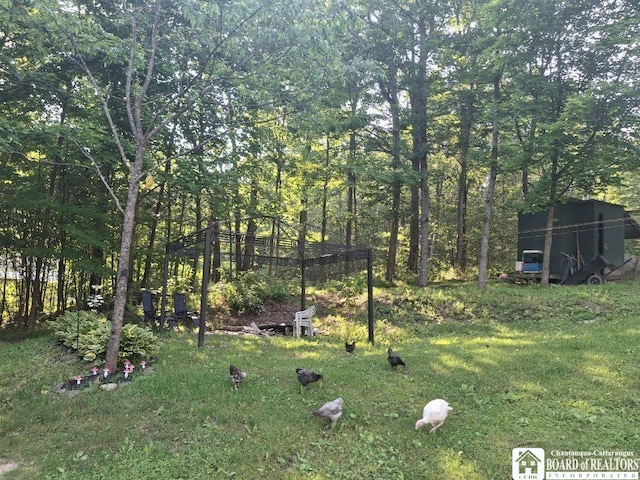 6098 Shady Ln, Lyndon, NY 14737 - view of green lawn
