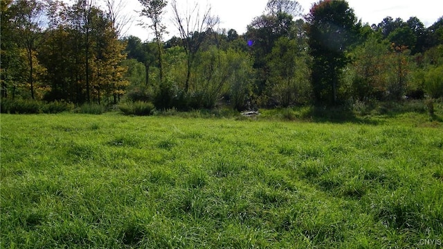 0 River Rd, Camden, NY 13316
