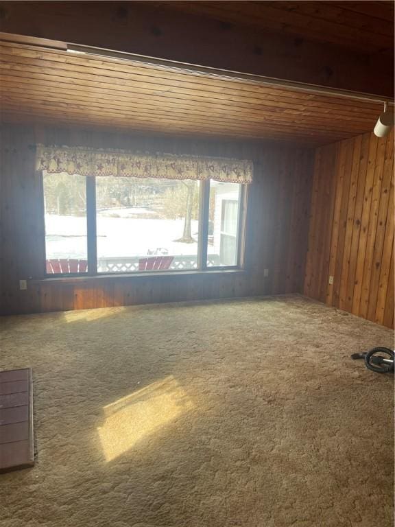 unfurnished room featuring wood ceiling, carpet flooring, healthy amount of natural light, and wooden walls