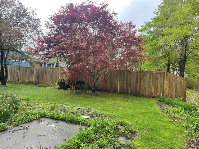 view of yard