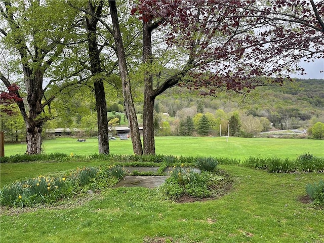 view of grassy yard