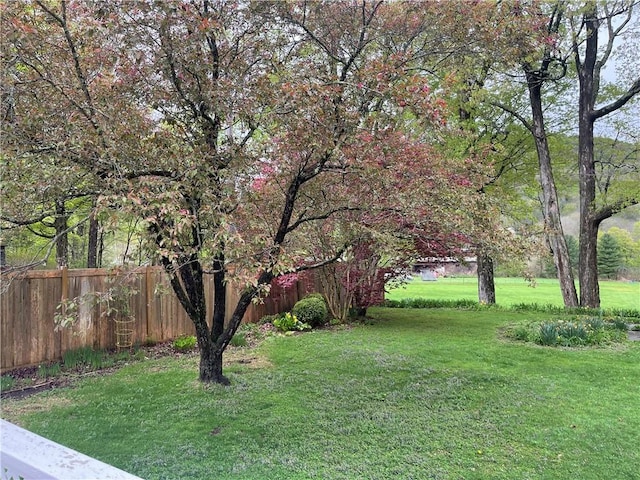 view of yard