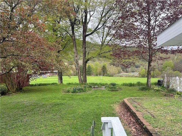 view of green lawn