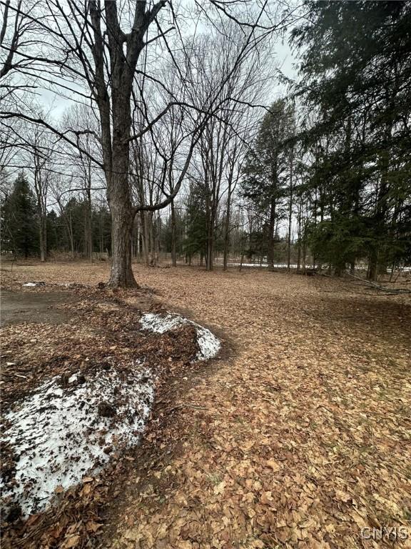 122 Reiden Ln, Winfield, NY 13491 - photo 20