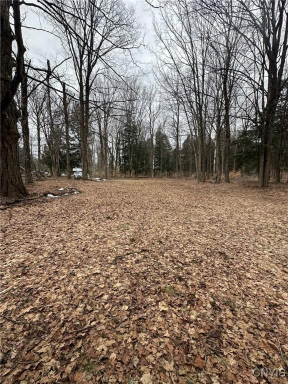 122 Reiden Ln, Winfield, NY 13491 - photo 21