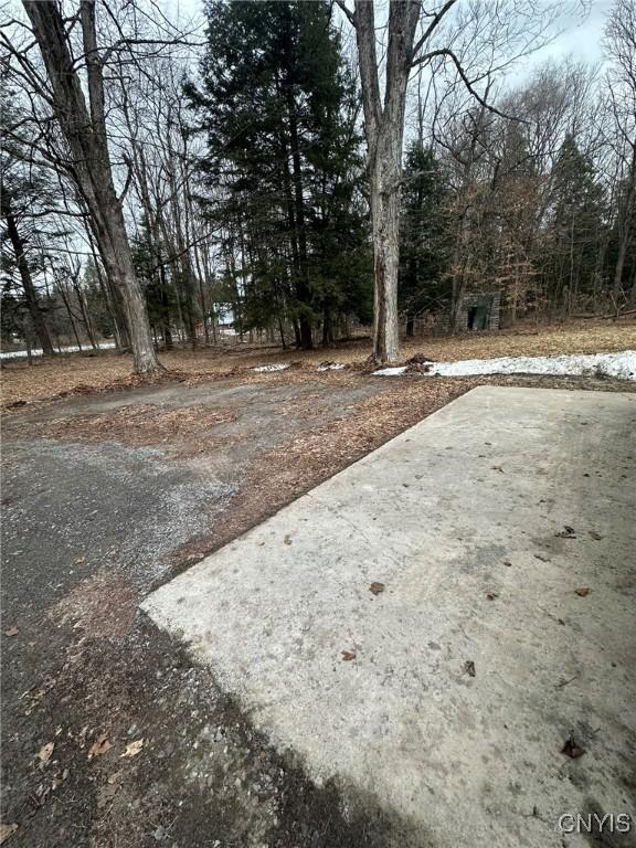 122 Reiden Ln, Winfield, NY 13491 - photo 22