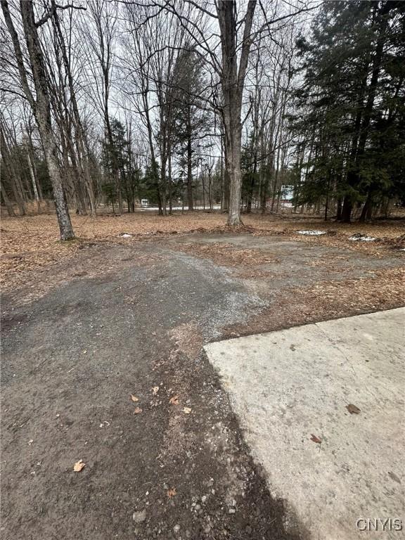 122 Reiden Ln, Winfield, NY 13491 - photo 23