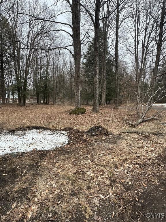 122 Reiden Ln, Winfield, NY 13491 - photo 25