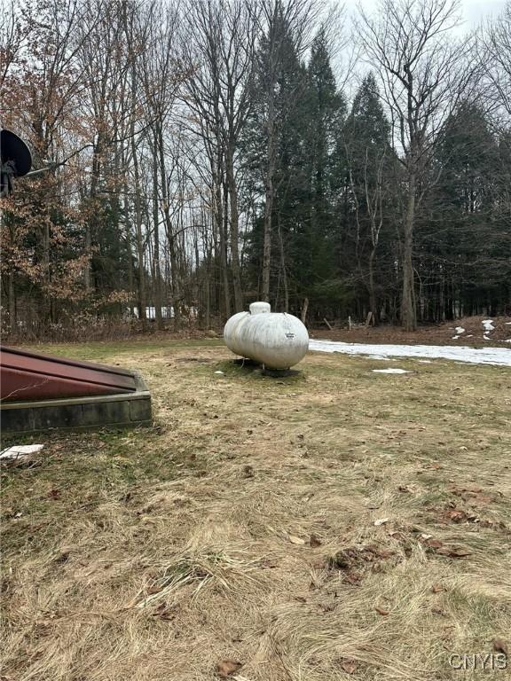 122 Reiden Ln, Winfield, NY 13491 - photo 17