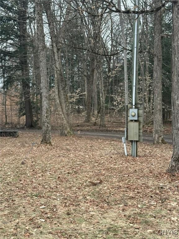 122 Reiden Ln, Winfield, NY 13491 - photo 18