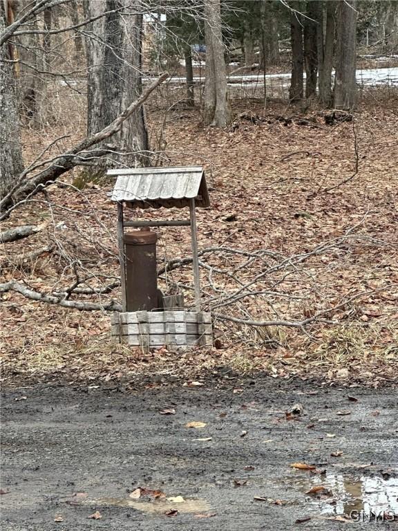 122 Reiden Ln, Winfield, NY 13491 - photo 19