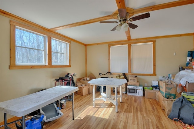 42913 County Route 100, Orleans, NY 13640 - dining space featuring wood finished floors and a ceiling fan