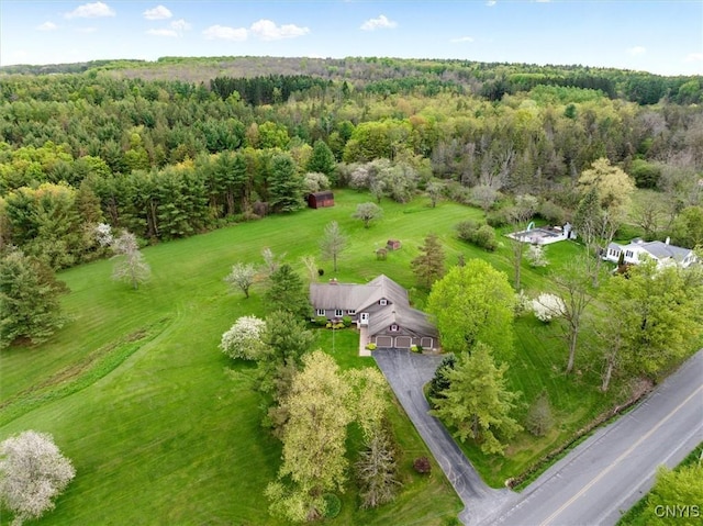 aerial view with a forest view