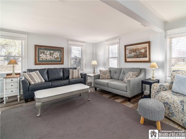 living room with beam ceiling, a healthy amount of sunlight, and wood finished floors