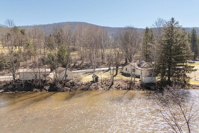 view of mountain feature featuring a water view and a forest view