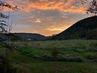272 Arbor Hill Rd, Delhi, NY 13753 - view of mountain backdrop