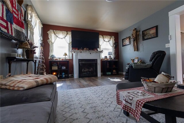 living room featuring wood finished floors and a fireplace