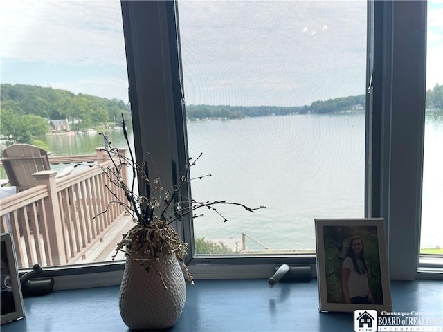 property view of water