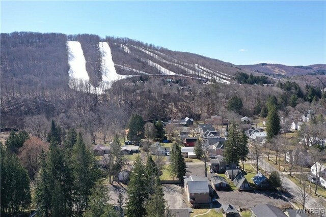 28 Martha St, Ellicottville, NY 14731 - photo 46